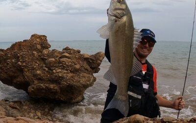 PESCA DE LA LUBINA CON SEÑUELOS ARTIFICIALES: 3 TIPOS DE MAR 