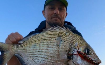 Cañas para la pesca del sargo a spinning/rockfishing en el mar mediterráneo