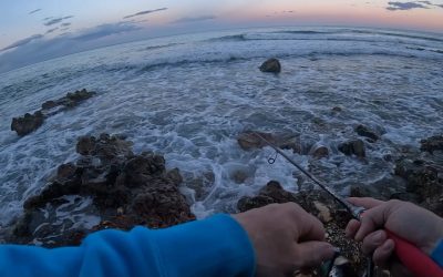 PESCA DE LUBINA DESDE LA ORILLA