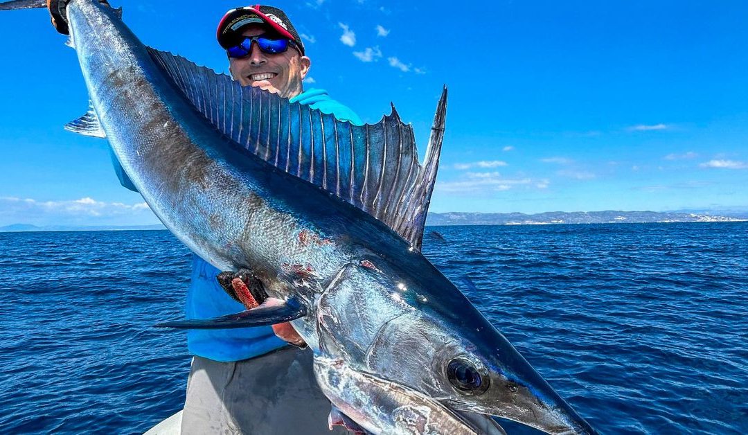 Relato: Pesca de una gran Aguja Imperial