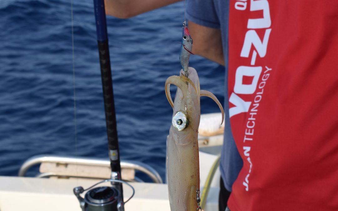 3 JIBIONERAS TOP PARA PESCAR CALAMARES DESDE EMBARCACIÓN