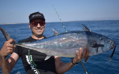 Curricán costero: Los señuelos más efectivos para cada temporada