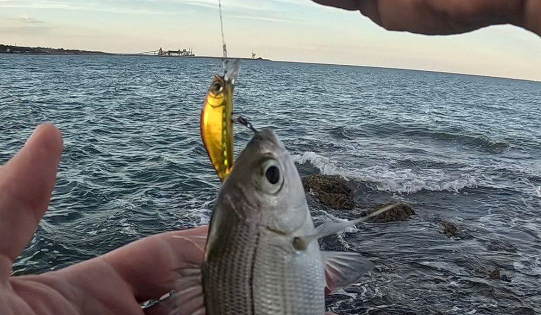 Rockfishing: Técnicas, Equipo y Consejos para una Pesca desde Rocas Exitosa