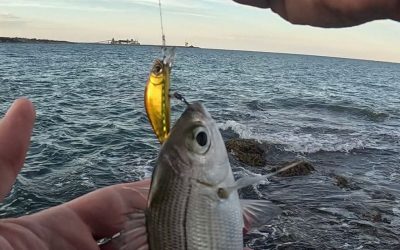 Rockfishing: Técnicas, Equipo y Consejos para una Pesca desde Rocas Exitosa