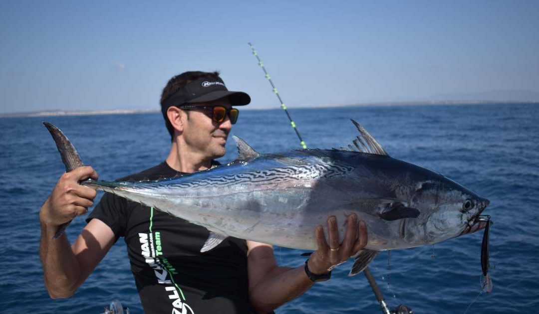 Bacoretas al Curricán: Guía Completa para su Pesca con Éxito