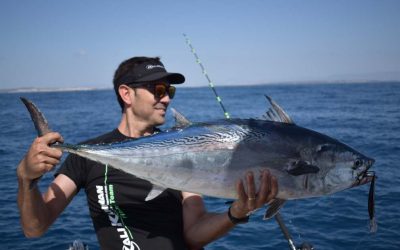 Bacoretas al Curricán: Guía Completa para su Pesca con Éxito