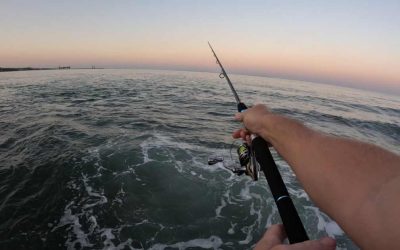 XZOGA BLASTINO BTS: Potencia, Precisión y Versatilidad en Spinning Costero y de Agua Dulce