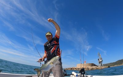 Pesca de Depredadores con Señuelos de Superficie: ¿Popper, Paseante o Minnow para la Anjova?