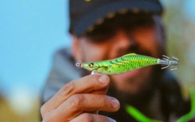 Cómo Pescar Calamares (Eging) desde Orilla: Guía Completa para Principiantes y Expertos