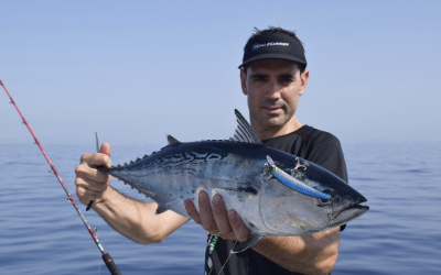 Guía Didáctica: Cómo Pescar a Curricán Costero de Forma Eficaz