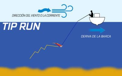 Pesca a Tip Run: la técnica definitiva para el calamar desde embarcación